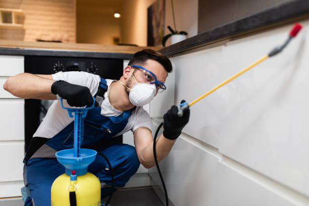Best Best Pest Control Companies  in Fairfield, IL