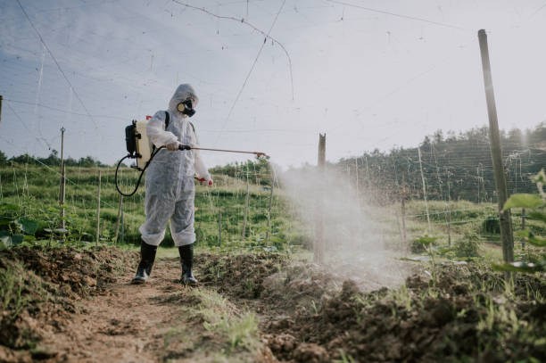 Best Mosquito Control Services  in Fairfield, IL