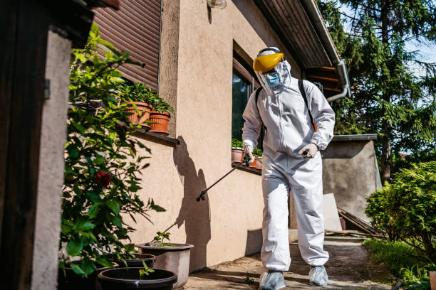 Best Pest Inspection Near Me  in Fairfield, IL