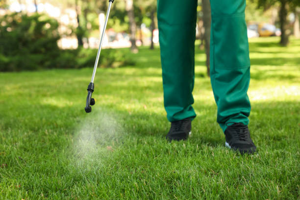 Best Ant Control Services  in Fairfield, IL