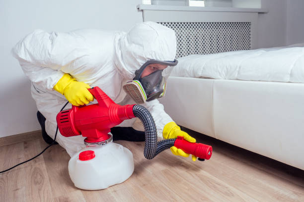 Best Spider Control Near Me  in Fairfield, IL
