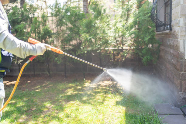 Best Rat Extermination Near Me  in Fairfield, IL