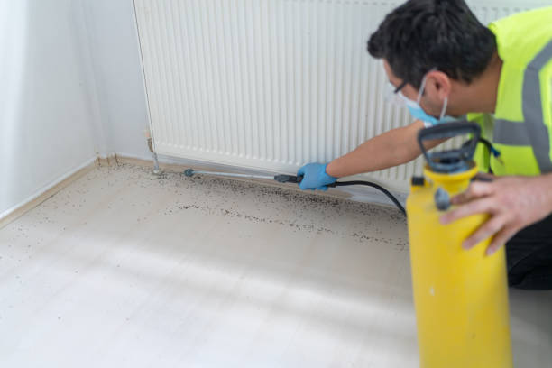 Best Affordable Pest Control Services  in Fairfield, IL
